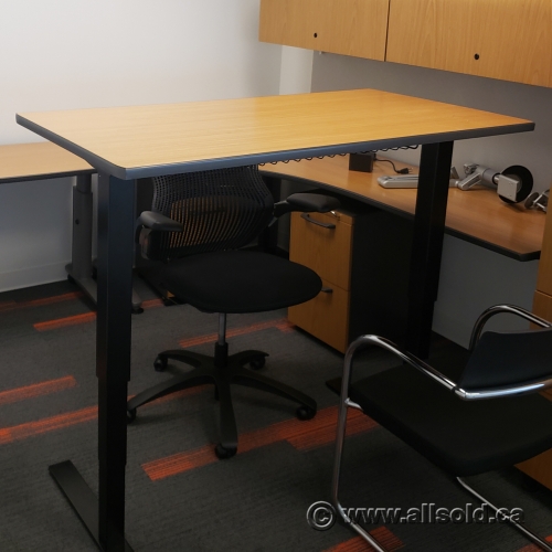 54" x 28" Knoll Light Cherry Sit Stand Height Adjustable Desk Allsold